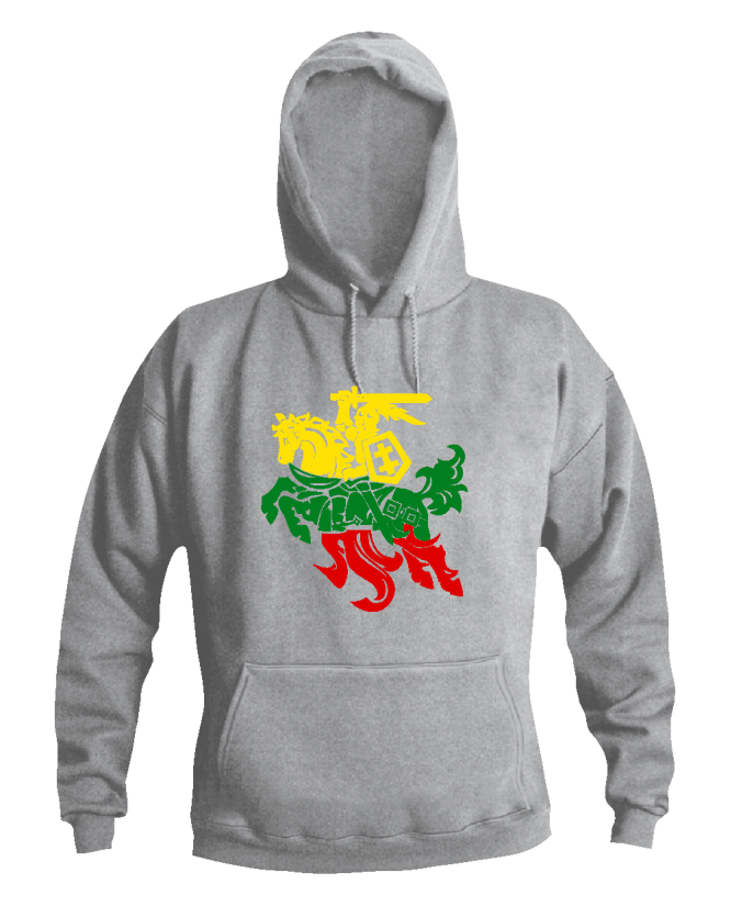 Džemperis Spalvotas Vytis